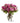 12 long stem lavender roses in a vase