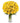 36 Long Stem Yellow Roses 