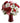 roses-and-carnations