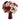 roses-and-carnations
