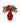 Winter Dreams red flower bouquet in red vase