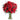 red-carnations