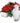 Red roses in box with vase