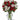 red and white flowers