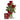 roses-and-card