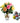 roses-and-balloons