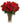 red roses in a vase