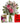 flowers cards and truffles