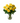 Yellow roses in a vase - yellow12